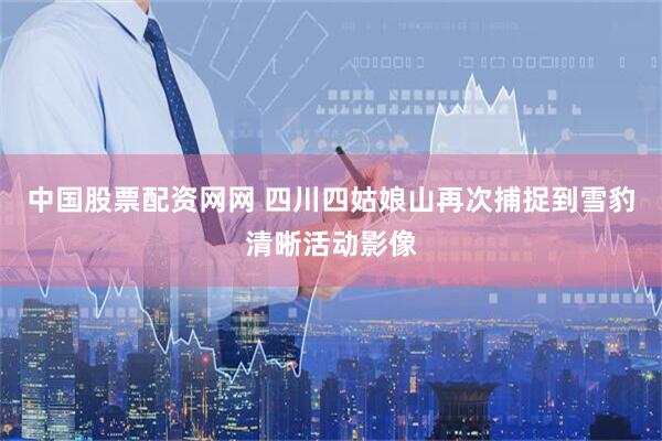 中国股票配资网网 四川四姑娘山再次捕捉到雪豹清晰活动影像