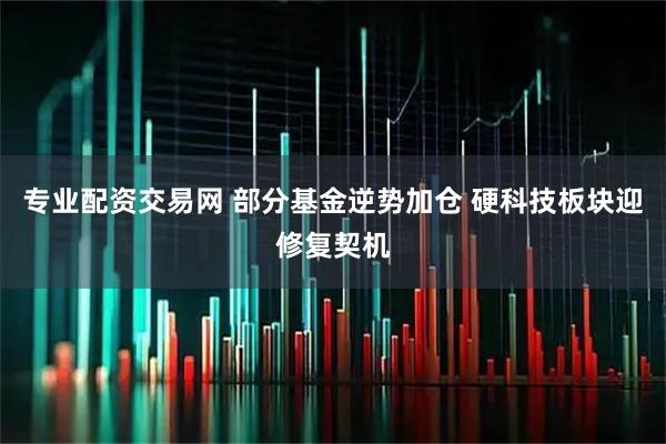 专业配资交易网 部分基金逆势加仓 硬科技板块迎修复契机